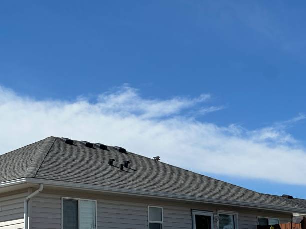 Best Roof Moss and Algae Removal  in Clinton, PA